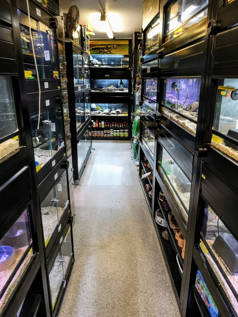 Aisle between tall black racks of lit aquariums and reptile vivariums